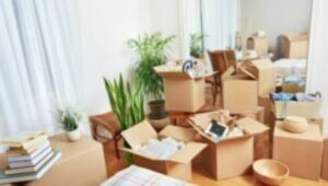 Packers and Movers Alam Roza