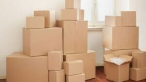 Packers and Movers Bahiyal