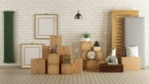 Packers and Movers Maninagar