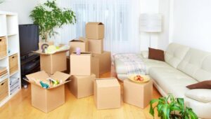 Packers and Movers Mota Chiloda