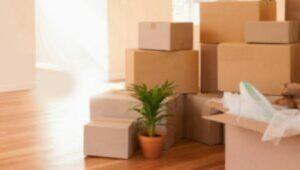 Packers and Movers Naranpura