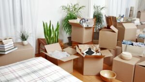 Packers and Movers New Ranip