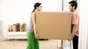 Packers and Movers Polarpur