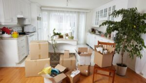 Packers and Movers Prahalad Nagar