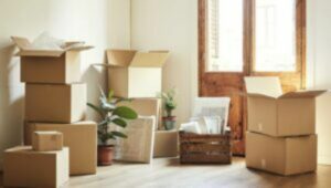 Packers and Movers Shardanagar