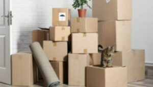 Packers and Movers Thaltej