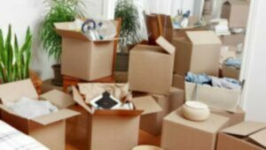 Packers and Movers Vasna