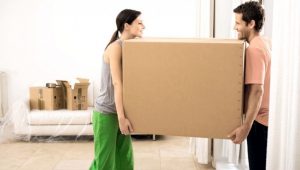 Packers and Movers Nanakramguda