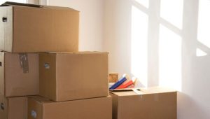 Packers and Movers Manikonda