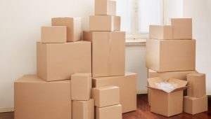 Packers and Movers Tolichowki