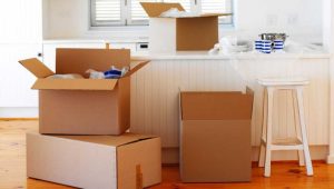 Packers and Movers Uppal