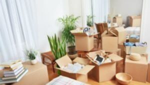 Packers and Movers Sector 1 Noida