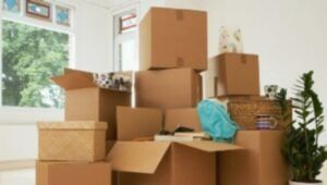 Packers and Movers Sector 98 Noida