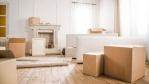 Packers and Movers Sector 13 Noida