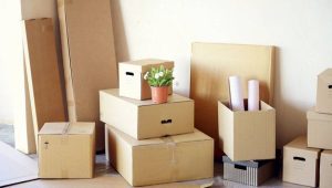 Packers and Movers Sector 22 Noida