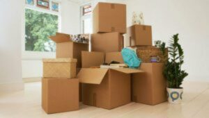 Packers and Movers Sector 38 Noida