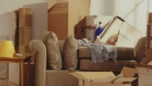 Packers and Movers Sector 48 Noida