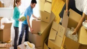 Packers and Movers Sector 58 Noida